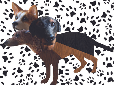 Hybrid Series - Three Headed Dog adobe assignment college design dog illustrator paws student