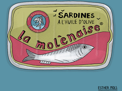 Sardines