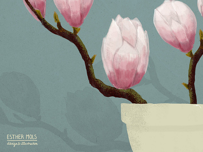 Magnolia editorial illustration floral art flower illustration flowers illustration illustration magazine illustration magnolia