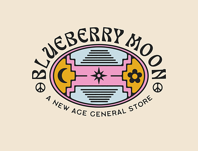 Blueberry Moon Branding branding campy design lifestyle logo storefront vintage