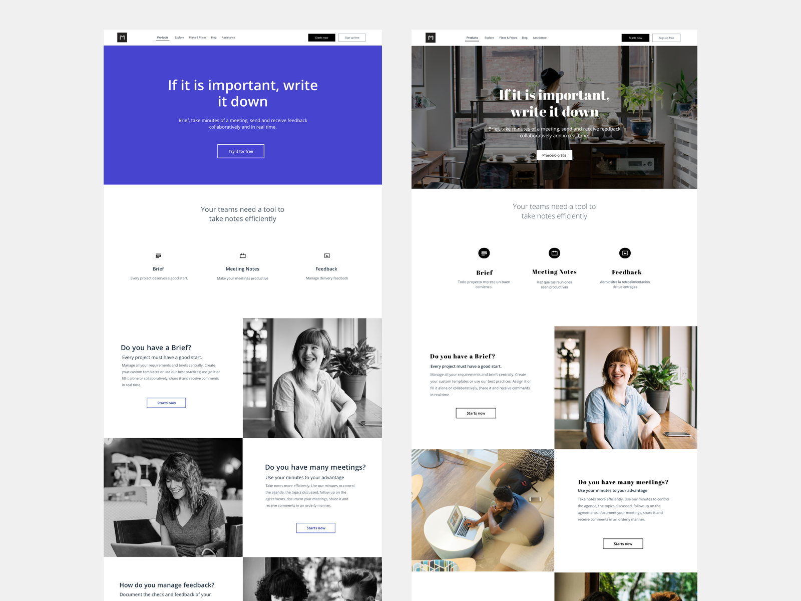 White&Color by Diana Armenta on Dribbble