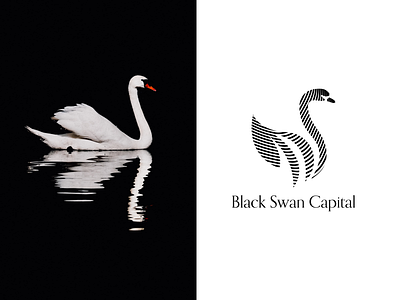 Swan Logo branding design icon illustration logo ui vector web