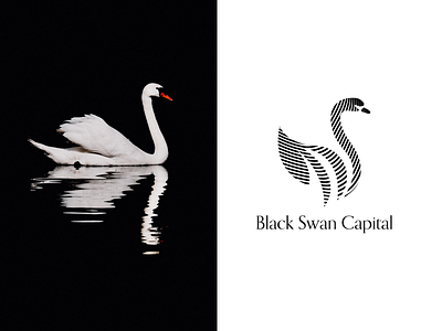 Swan Logo