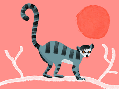 Blue lemur illustration