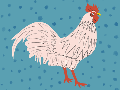 Rooster illustration animal bird chicken farm animal feathers hand drawn illustration rooster storybook