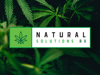 Natural Solutions brand branding icon logo marijuana maryland typography vector weed