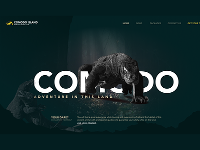 Comodo Island ui ux design web web designer webdesign website