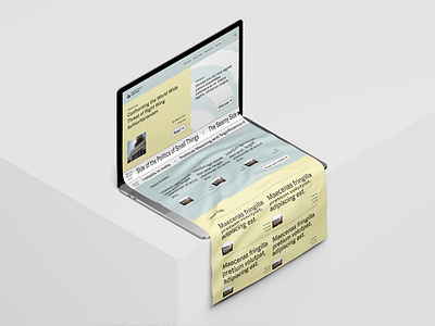 Web design for Democracy Seminar