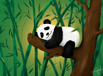 panda branding design photoshop wacom intuos