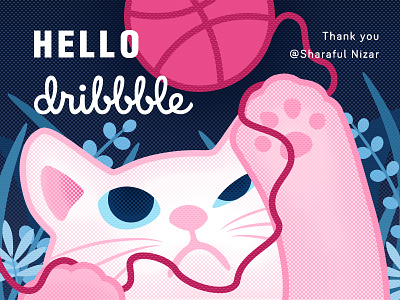 Hello Dribbble！ cat hello dribbble illustration