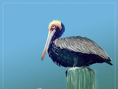 Creative Bird artwork illustraiton pelican vector