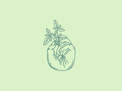 Basil basil food hand herb herbs icon illustration logo procreate symbol