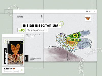 Inside Insectarium atlasmoth creatures insectarium insects mantis marvelous top10 ui uidesign uiux web webdesign