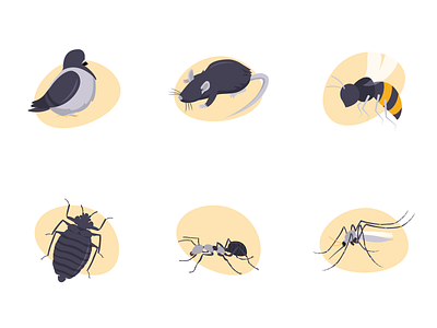 Some insects. ant bedbug bee design digital illustrator mosquito mouse orange pigeon rat tech way wasp