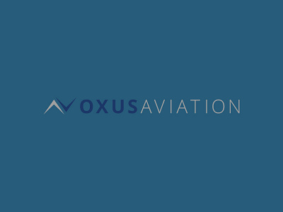 Oxus Aviation - Logo Design airplane aviation logo plane