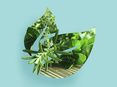 DavaPlant bio green herbs logo natural plant