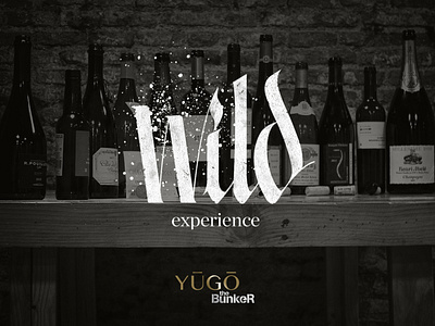 Wild Experience Yugo the Bunker