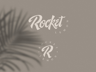 Rocket Lemon app brand identity branding custom design dribbble handmade lettering logo ui web