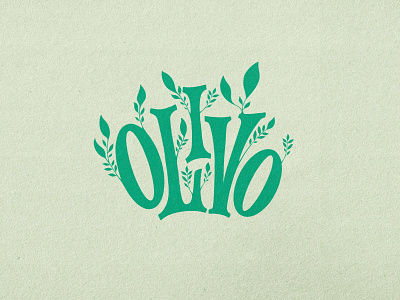 Olivo #olive branding design illustration logo minimal typography vector