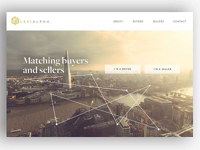 Levialpha Homepage design web
