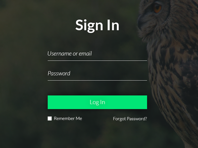 UI Challange - Sign in page