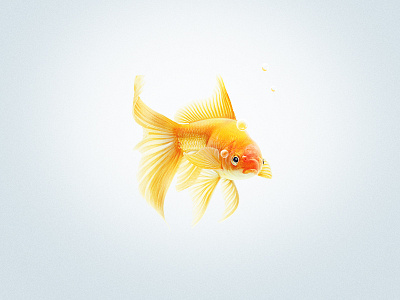 Goldfish design fish goldfish illustration photo manipulation retouch