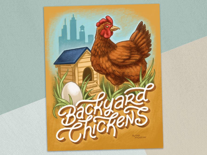 Backyard Chickens by Alana McCarthy on Dribbble