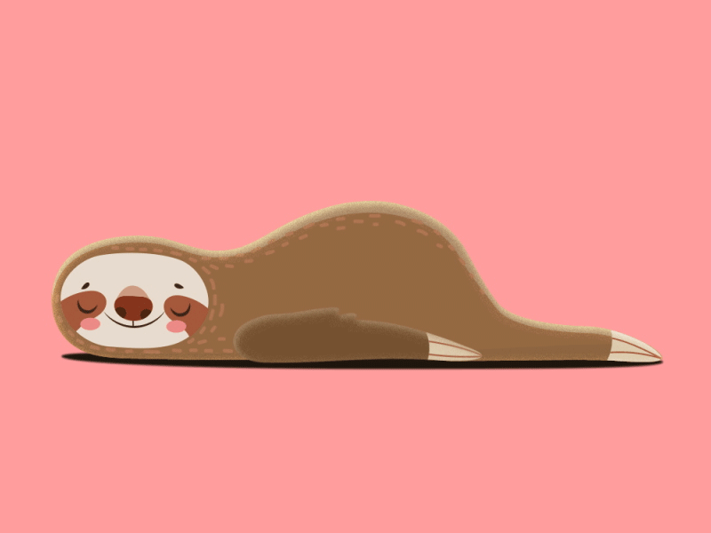 Sloth Sleeping on the Floor