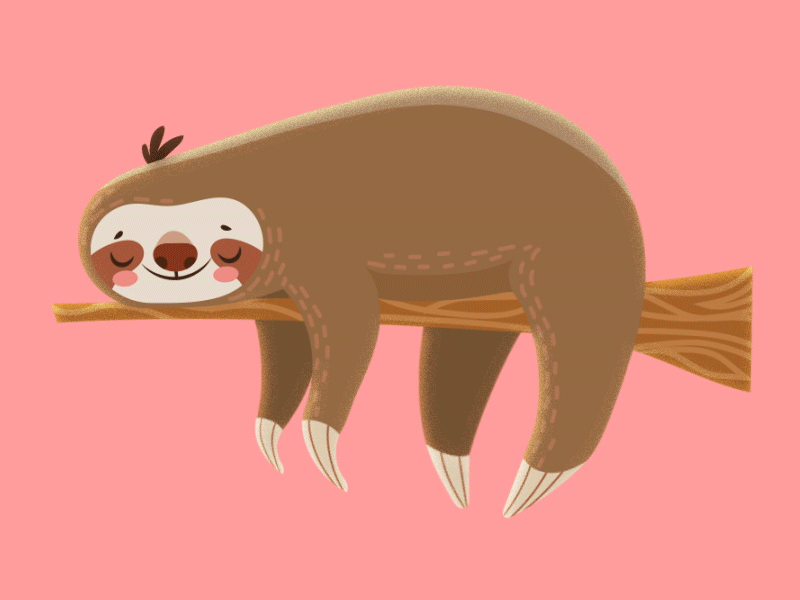 sloth sleeping