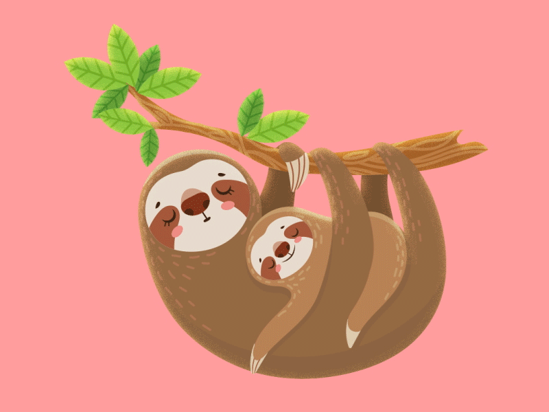 Mom Sloth and her baby 2d animation 2d character animal animation bicho preguica breathing freepik nap preguica sleep sleeping sloth sloths