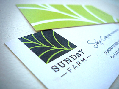 Sundayfarm business cards identity illustration logo typography
