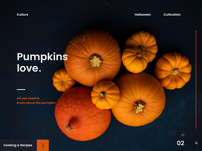 Pumpkin beginner design learning practice practise pumpkin recreate redesign ui