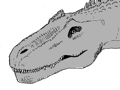Hello Allo allosaurus dino dinosaur illustration