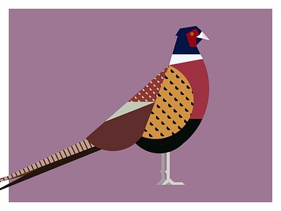 Pheasant birds game illustrator pheasant vector