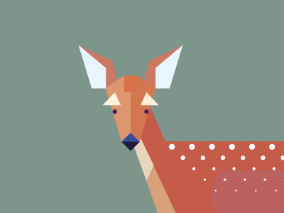 Red Deer Fawn deer devon fawn illustration mammals red deer