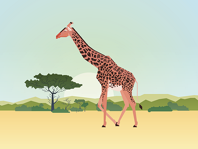 Giraffe giraffe illustration vector