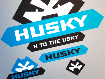 Husky Logo Submisson