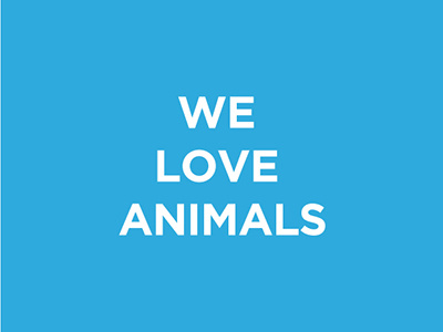 We Love Animals animals tshirt