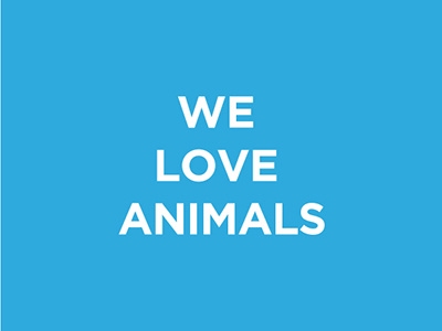 We Love Animals