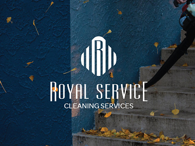 Royal Service company (cleaning services) branding branding design illustration logo logo design logodesign logos logotypes marks vector