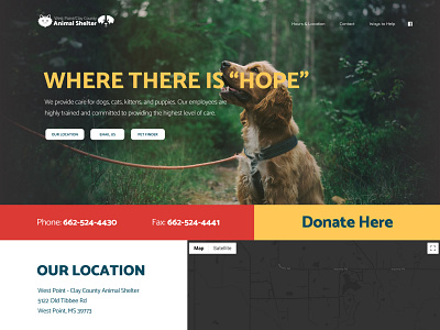 Animal Shelter Site Design