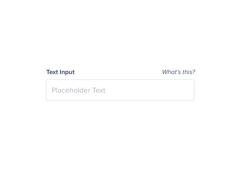 Simple Text Input Animation animation clean detail form gif hype input label tumult ui ux validation