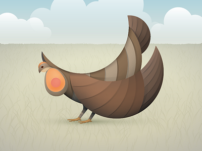 Prairie Chicken chicken illustration vector