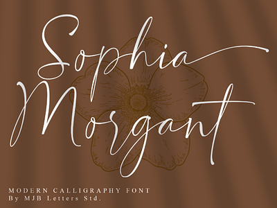 Sophia Morgant Modern Calligraphy branding designs calligraphy font fashion logos logotype posters signature social media posts watermark magazines