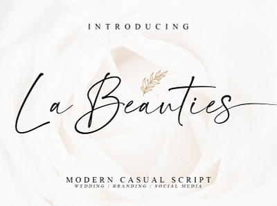 La Beauties branding display fashion logo logos magazine posters quotes social media posts watermark wedding invitation