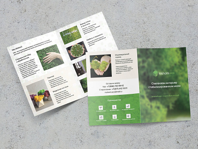 A5 Leaflet for moss producing company flyer leaflet moss polygraphy printing