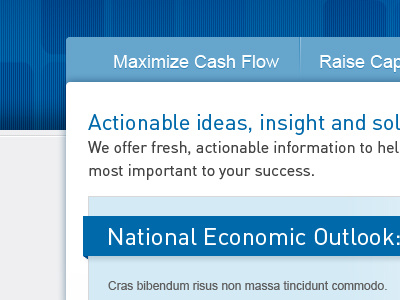 Maximize Cash Flow blue navigation website