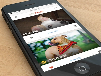 Fetch clean dogs mobile pets responsive startup ui ux