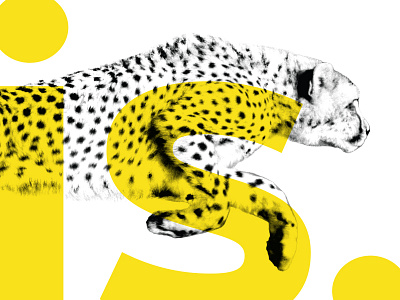 2014 Dreamforce Campaign cheetah dreamforce overlay photography type