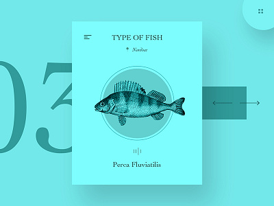Type Of Fish artdirection artdirectors creative design digital interaction interactive ui ux webdesign